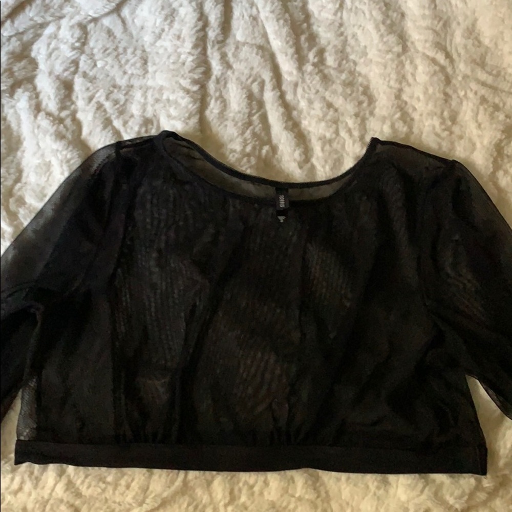 COPY - Sheer long sleeve mesh crop top.